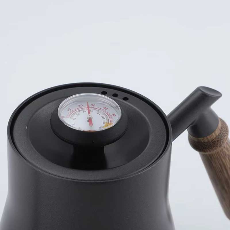 Stainless Steel Gooseneck Kettle with Thermometer