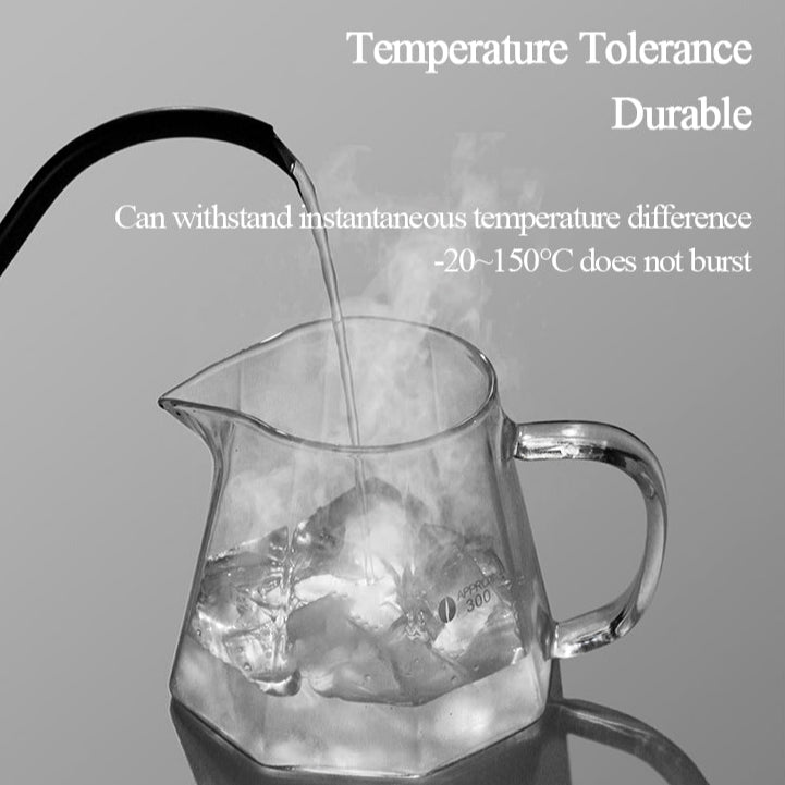 Premium Hand Brewed Pour Over Coffee Kit –  Borosilicate Glass Dripper & Server Set with Gooseneck Kettle